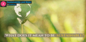 Read more about the article World water day!